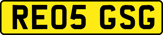 RE05GSG