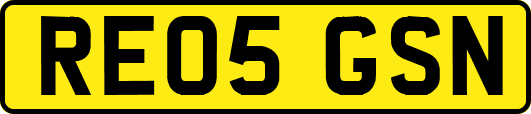 RE05GSN
