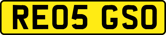 RE05GSO