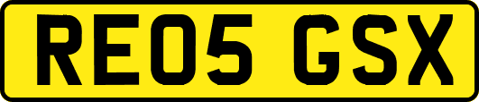 RE05GSX