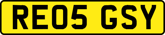 RE05GSY