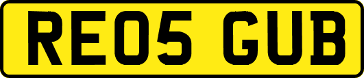 RE05GUB