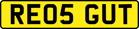 RE05GUT