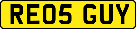 RE05GUY