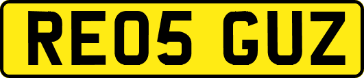 RE05GUZ
