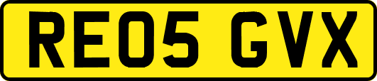 RE05GVX