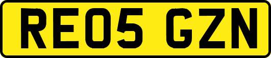 RE05GZN