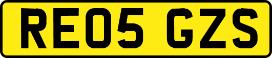 RE05GZS