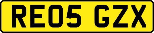 RE05GZX