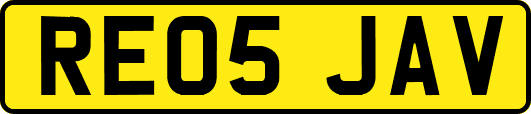 RE05JAV