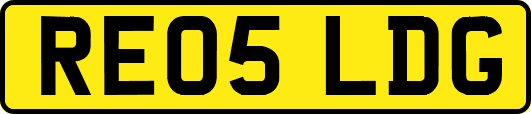 RE05LDG