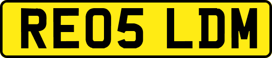 RE05LDM