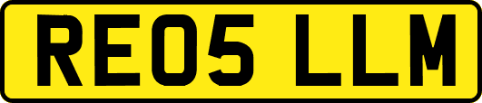 RE05LLM