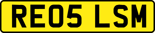 RE05LSM