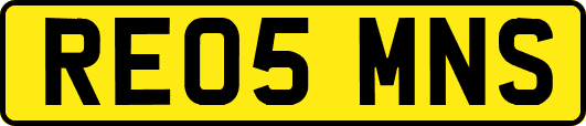 RE05MNS