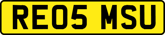 RE05MSU