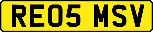 RE05MSV