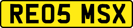 RE05MSX