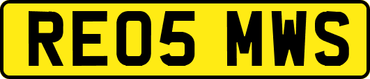 RE05MWS