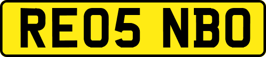 RE05NBO