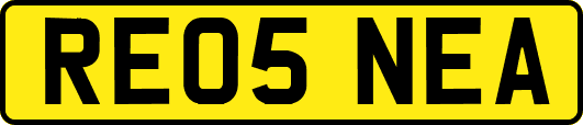 RE05NEA