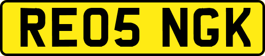 RE05NGK