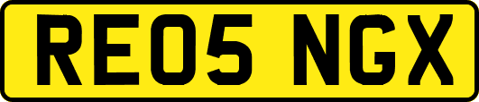 RE05NGX