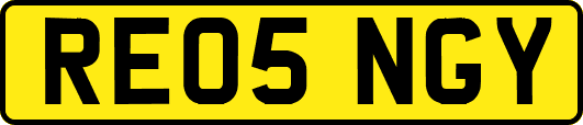RE05NGY