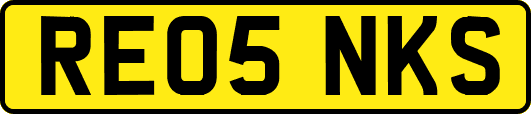 RE05NKS