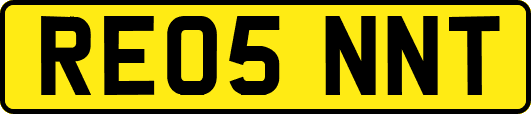 RE05NNT