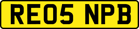 RE05NPB