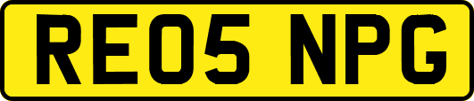 RE05NPG