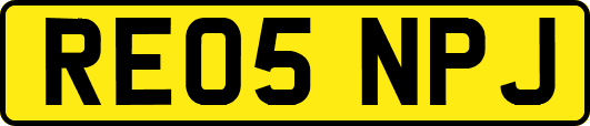 RE05NPJ