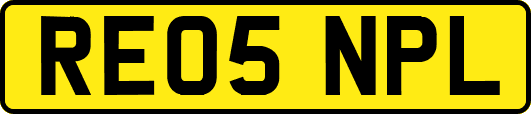 RE05NPL