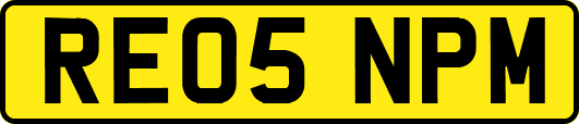 RE05NPM