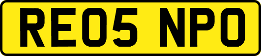 RE05NPO
