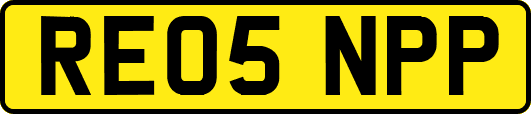 RE05NPP