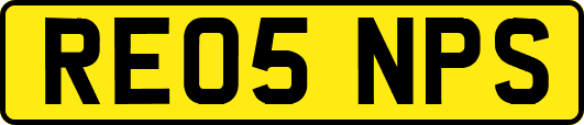RE05NPS