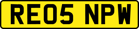 RE05NPW