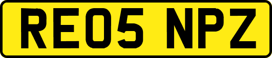 RE05NPZ