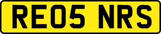 RE05NRS