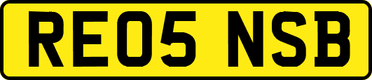 RE05NSB