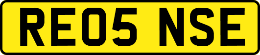 RE05NSE