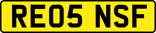 RE05NSF
