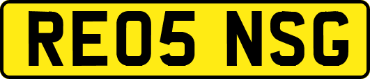 RE05NSG