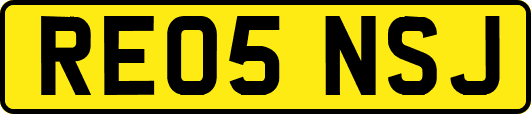 RE05NSJ