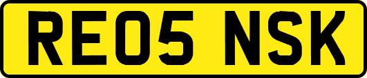 RE05NSK
