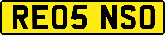 RE05NSO