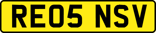 RE05NSV