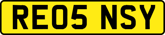 RE05NSY